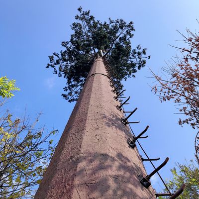 torre da pilha da camuflagem da árvore de coco 30m/S para exterior