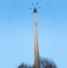 Torre de comunicação Monopole simples da estrutura Q345