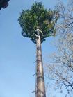 Torre da pilha da camuflagem da altura dos 10m da palmeira das telecomunicações