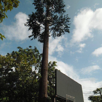 Uma comunicação do pinheiro da torre da pilha da camuflagem da comunidade